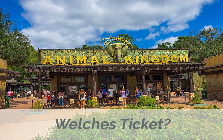Welches Ticket kaufen?
